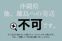 【即決】送料込 取付部割無 リーフ ZE1 右 ヘッドライト ランプ LED イチコ 1954 (BP0030D-3)_画像9