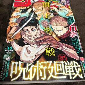 週刊少年JUMP 2024年No.15 切り取りなし　ご購入頂いた翌日の便に間に合う様に発送します！