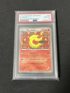 PSA10 ポケモンカード ブースター BWプロモ 183/BW-P FLAREON Promo イーブイコレクションファイル