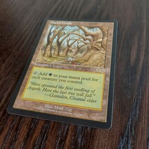 マジックザギャザリング MTG ガイアの揺籃の地 英語 ウルザズサーガ _画像6