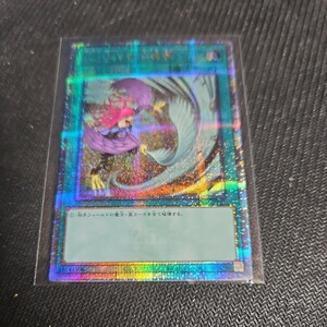 遊戯王 PRIDE ハーピィの羽根帚 25th QCCP yugioh 絵違い