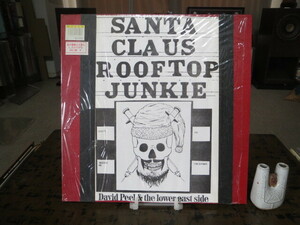 David Peel／Santa Claus Rooftop Junkie USオリジ！アングラ・カウンターカルチャー詩人デヴィッド・ピールのクリスマス・アルバム
