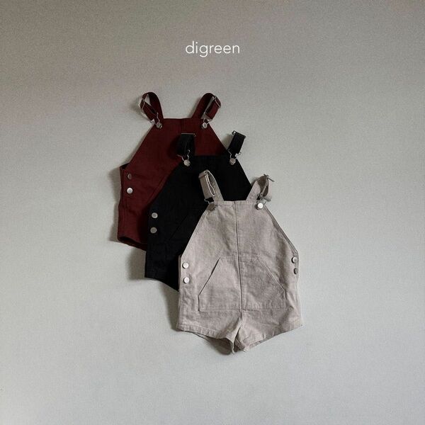 韓国子供服　digreen