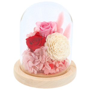 * pink / red ... preserved flower glass dome mail order soleil arrangement ... flower .. flower . flower dome type dome 