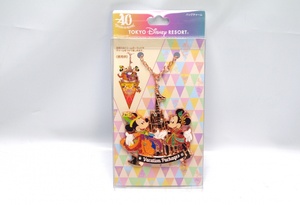 1* ディズニー 40周年 バケーションパッケージ バッグチャーム ガーランド バケパ 未開封品 TDR リゾート Dream Go Round ミキミニ