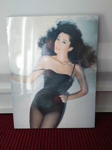 超綺麗。松坂慶子。?の水中花。プレミア物。