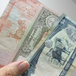 A 2085.ネパール9種紙幣 旧紙幣 外国紙幣の画像8