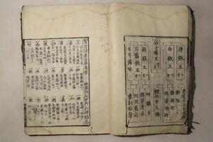 「賢首諸乗法数」行深 全11巻合本1冊揃｜仏教 仏書 仏教書 経典 経本 漢籍 漢文 中国 古書 和本 古典籍 ｈ17