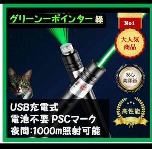 【月末割】USB充電式　星空★レーザーポインター　グリーン緑色　電池不要　強力光線　未使用　ネコおもちゃ　現場指示　高評価