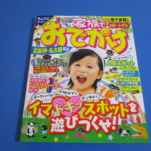 家族でおでかけ/京阪神・名古屋周辺■未使用■USJ、ジブリパーク、レゴランド、キッザニア■0歳から小学生の画像1