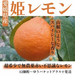 愛媛県産　特別栽培　希少な姫レモン（ユーパケットプラス）