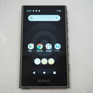 Th958772 ソニー 携帯音楽プレイヤー ウォークマン A300シリーズ 64GB NW-A307 グレー sony 超美品・中古