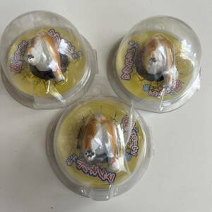 新品● 柴犬 マグネット 3個セット　キッチンマグネット