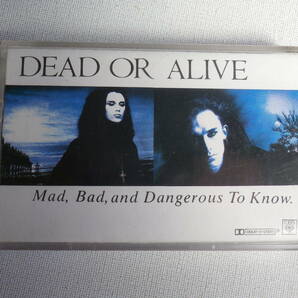 ◆カセット◆デッド・オア・アライヴ DEAD OR ALIVE / Mad,Bad,and Dangerous To Know 輸入版  中古カセットテープ多数出品中！の画像2