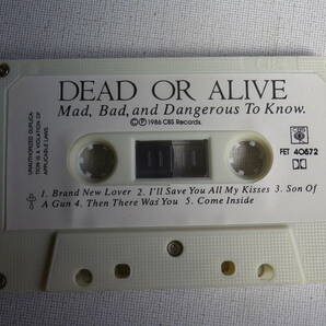 ◆カセット◆デッド・オア・アライヴ DEAD OR ALIVE / Mad,Bad,and Dangerous To Know 輸入版  中古カセットテープ多数出品中！の画像5