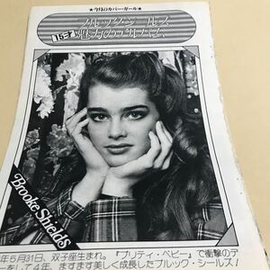 ブルックシールズ【15才魅力のアルバム　ピンナップ】説明参照　BKHYSR8011