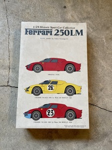 未組立●SUNNY/サニー 1/24 Ferrari 250LM COLORING AND DECALS スポーツカー レーシングカー コレクション プラモデル レア 当時もの●