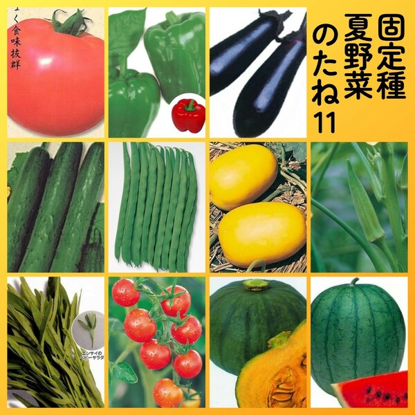 匿名配送無料◆固定種夏野菜の種11◆大玉トマト+ピーマン+ナス+キュウリ+つるありインゲン+マクワウリ+オクラ+空芯菜+ミニトマト+南瓜+西瓜