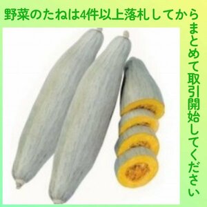 4件以上落札◆カボチャ種◆飛騨南瓜 3粒◆固定種 長カボチャ スクナカボチャ かぼちゃ