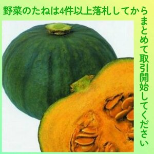 4件以上落札◆カボチャ種◆東京南瓜（芳香青皮栗）3粒◆固定種かぼちゃ