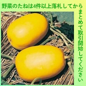 4件以上落札◆マクワウリ種◆奈良一号まくわ5粒◆固定種マクワ甜瓜まくわうり真桑瓜