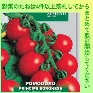 4件以上落札◆トマト種◆プリンチペ・ボルゲーゼ 10粒◆固定種 加熱用 調理用 イタリアントマト ドライトマト