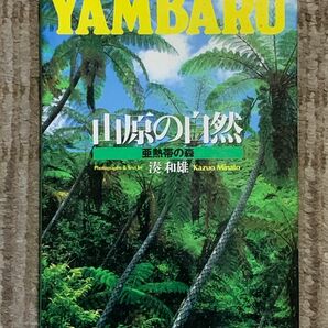YAMBARU 山原の自然（亜熱帯の森）　湊和雄 著 初版