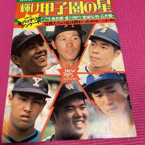 輝け甲子園の星 日刊スポーツグラフ 第18号