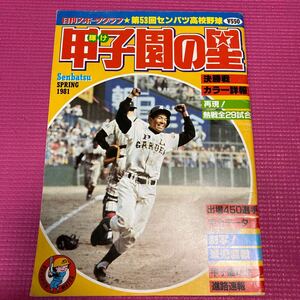 輝け甲子園の星 1981スプリング 日刊スポーツグラフ第28号