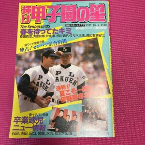 輝け甲子園の星 1985 選抜 桑田 清原 日刊スポーツグラフ第58号