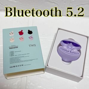 【Bluetooth 5.2】ワイヤレスイヤホン マイク付き ハンズフリー通話 インナーイヤー型 パープル 紫 USB充電