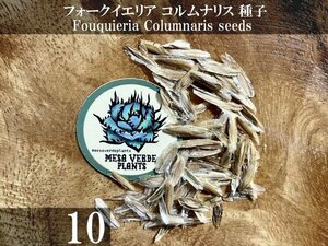 フォークイエリア コルムナリス 種子 10粒+α Fouquieria Columnaris 10 seeds+α 観峰玉 種