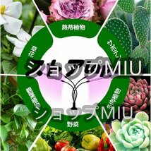 実用★ 植物育成ライト 観葉植物 ライト クリップ式 80LED 40W 室内栽培 水耕栽培 野菜工場 9段階調光 3モード調色 L1410_画像6