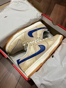 日本未発売 NIKE DUNK LOW Off The Hook 27cm Bagel ダンク ベーグル