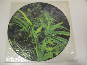 ピクチャー12インチ『State Of Flux / Grow More Pot』 T&B Vinyl　(Z21)　