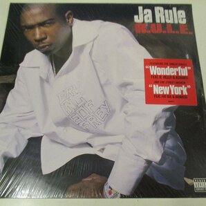 未開封 LP2枚組 『Ja Rule / R.U.L.E.』 ASHANTI FAT JOE JADAKISS R KELLY LLOYD TRICK DADDY (Z2)の画像1