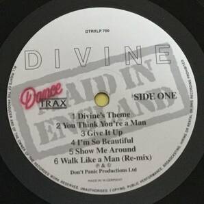 Divine - Maid In England LP の画像3