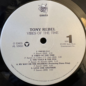 TONY REBEL / Vibes of the Timeの画像3