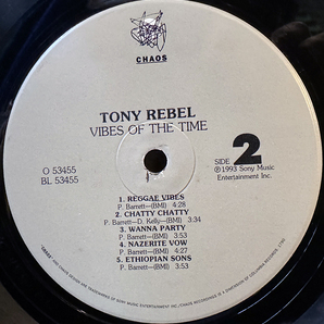 TONY REBEL / Vibes of the Timeの画像4