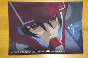 機動戦士ガンダムSEED DESTINY CARDDASS MASTERS カードダスマスターズ シーンカード シン・アスカ