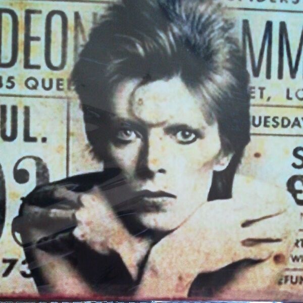 ブリキ看板 DAVID BOWIE デヴィッドボウイ メタルポスター A4サイズ