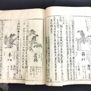 Y771 絵入 鷹 鷲 鳳凰ほか花鳥図◆倭漢三才図会◆孔雀 梟 鳥類 類書 百科事典 江戸時代物 木版 浮世絵UKIYOE 骨董 古美術 古文書 和本 古書の画像1