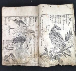 Y760 鷹 鷲ほか絵入◆絵本写宝袋◆8 花鳥画 鳥 禽獣之部 江戸 時代物 浮世絵 UKIYOE 木版 骨董 古美術 古典籍 古文書 和本 古書