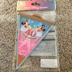 お値下げ【新品未開封】《販売終了品》TDR40周年 ガーランド 人気色 水色/ピンク
