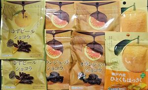 キャンペーン中限定特価《南信州菓子工房》 オランジェットショコラ & 瀬戸内産ひとくちはっさく& ゆずピールショコラ