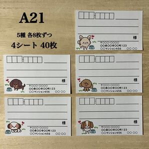 宛名シール*A21 犬 5種 40枚