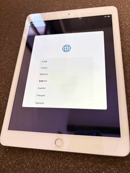 極美品　iPad 第6世代 32GB Wi-Fiモデル Wi-Fi タブレット Apple 