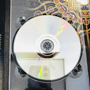 WORLD SPIRIT ワールドスピリット Alex Grey Kenji Williams CD DVD MP-00-00001 スピリチュアル magnetic presence NKの画像6