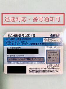 ANA 株主優待 送料無料 即決有　番号通知 迅速対応 1枚　① 運賃半額