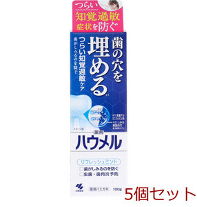 薬用ハミガキ ハウメル フレッシュミント 100g 5個セット